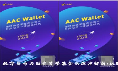 标题
 biaoti 数字货币与国资背景基金的深度解析：机遇与挑战
