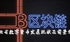 河北省数字货币发展现状