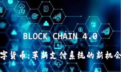 央行数字货币：革新支付系统的新机会与挑战