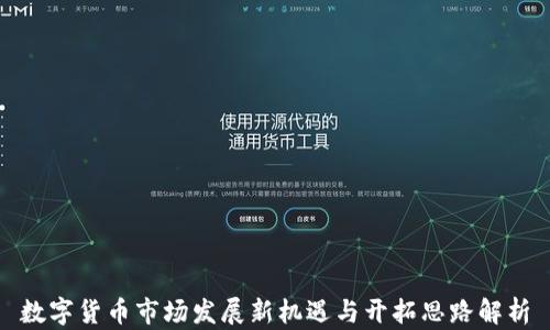 
数字货币市场发展新机遇与开拓思路解析