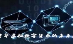 深入了解中华虚拟数字货