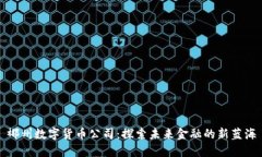 郴州数字货币公司：探索