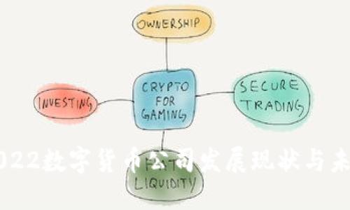 智利2022数字货币公司发展现状与未来展望