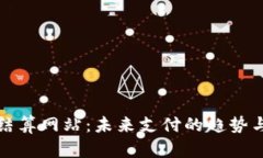 数字货币结算网站：未来