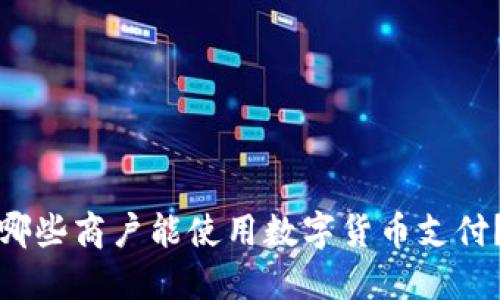 哪些商户能使用数字货币支付？