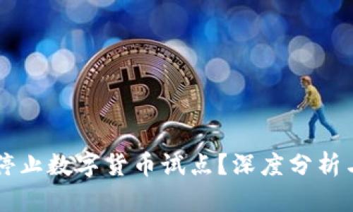 京东为何停止数字货币试点？深度分析与未来展望