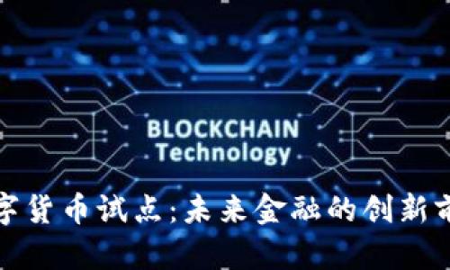 数字货币试点：未来金融的创新前沿
