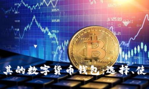 探索土耳其的数字货币钱包：选择、使用与安全