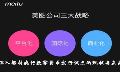 深入解析央行数字货币发行试点的现状与未来