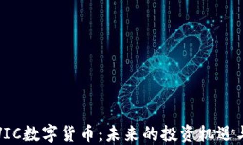 
深入了解VIC数字货币：未来的投资机遇与风险评估