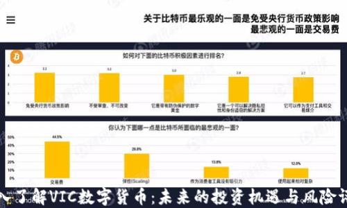 
深入了解VIC数字货币：未来的投资机遇与风险评估