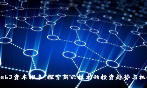 Web3资本推手：探索新兴技术的投资趋势与机会