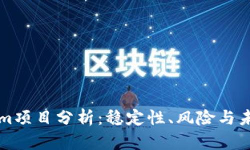 Tokenim项目分析：稳定性、风险与未来潜力