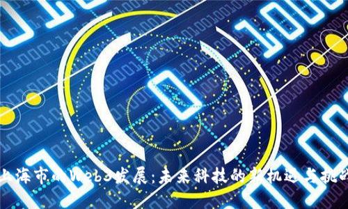 上海市的Web3发展：未来科技的新机遇与挑战