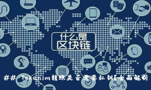 ## Tokenim转账是否需要私钥？全面解析