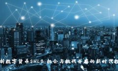 深度解析数字货币SHLB：机