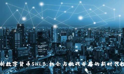深度解析数字货币SHLB：机会与挑战并存的新时代投资选择