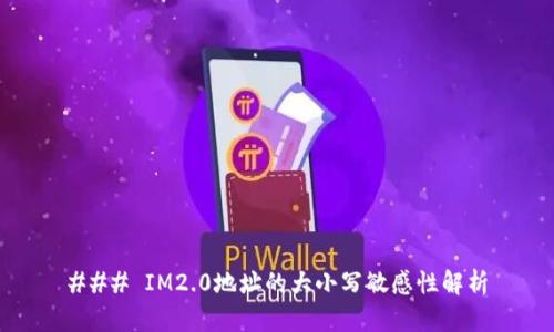 ### IM2.0地址的大小写敏感性解析