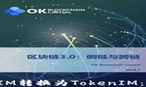 
如何将FIM转换为TokenIM：详尽指南