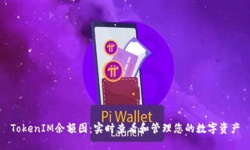TokenIM余额图：实时查看和管理您的数字资产
