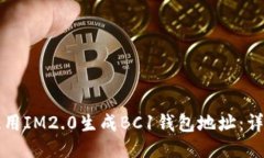 如何使用IM2.0生成BC1钱包地
