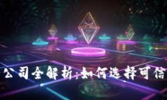 数字货币发行公司全解析
