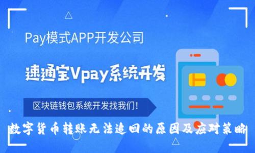 数字货币转账无法追回的原因及应对策略