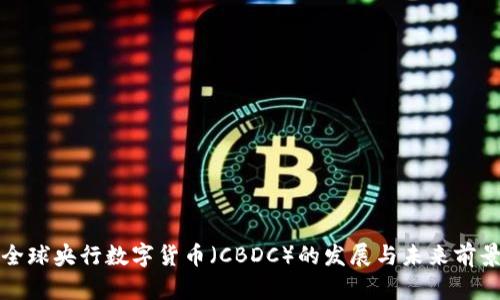 全球央行数字货币（CBDC）的发展与未来前景