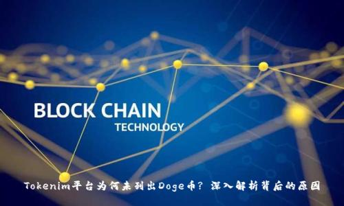 Tokenim平台为何未列出Doge币? 深入解析背后的原因
