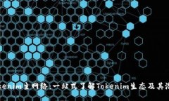 Tokenim主网络：一站式了解