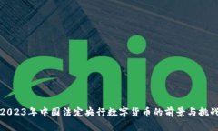 2023年中国法定央行数字货