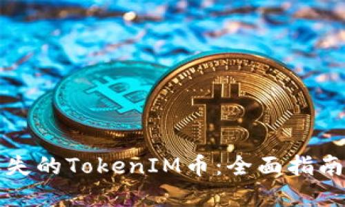 如何处理丢失的TokenIM币：全面指南与解决方案