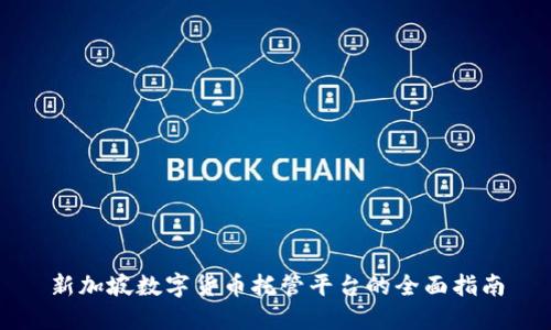 新加坡数字货币托管平台的全面指南