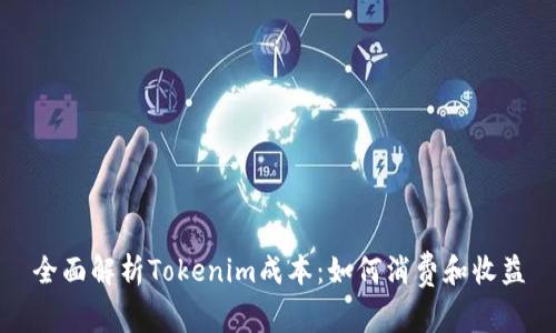 全面解析Tokenim成本：如何消费和收益