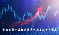 全面解析中国数字货币的