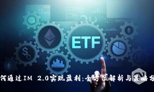 如何通过IM 2.0实现盈利：全方位解析与策略分享