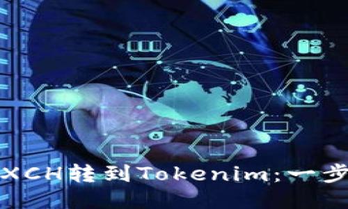 如何把XCH转到Tokenim：一步步指南