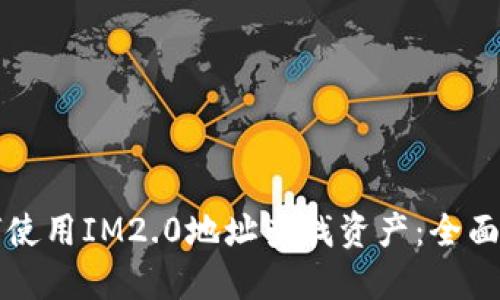 如何使用IM2.0地址查找资产：全面指南