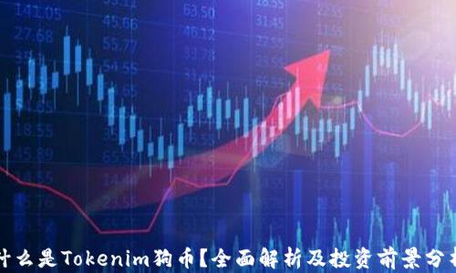 
什么是Tokenim狗币？全面解析及投资前景分析