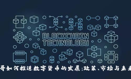 墨西哥如何推进数字货币的发展：政策、市场与未来前景