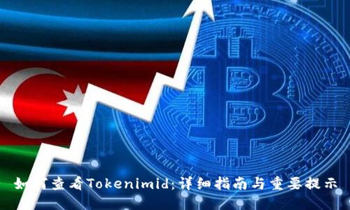 如何查看Tokenimid：详细指南与重要提示