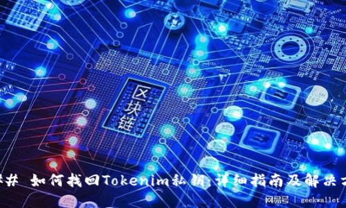 ### 如何找回Tokenim私钥：详细指南及解决方案
