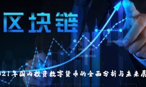 2021年国内投资数字货币的全面分析与未来展望