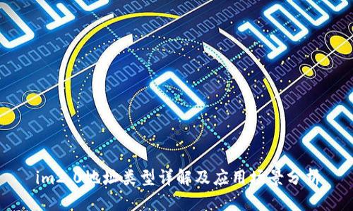 im2.0地址类型详解及应用场景分析