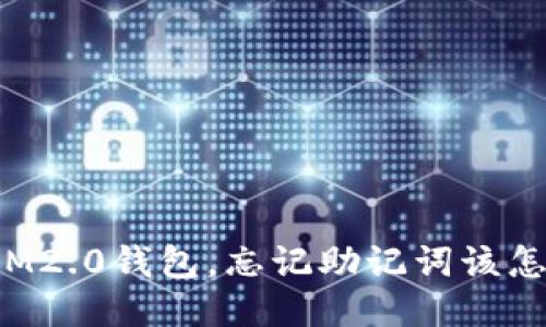 误删IM2.0钱包，忘记助记词该怎么办？