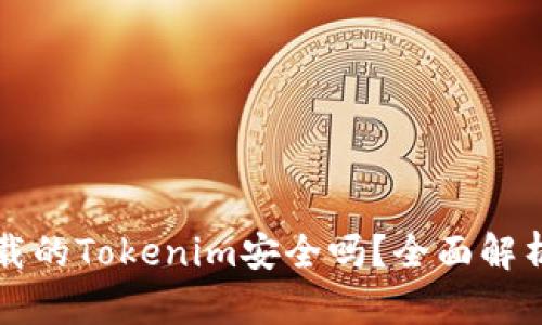 百度下载的Tokenim安全吗？全面解析与建议