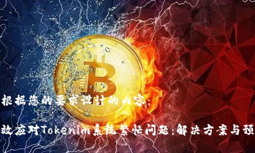 下面是根据您的要求设计的内容：

如何有效应对Tokenim系统繁忙问题：解决方案与预防措施