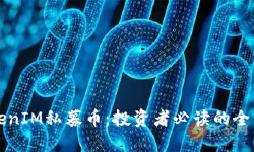 揭秘TokenIM私募币：投资者必读的全方位指南