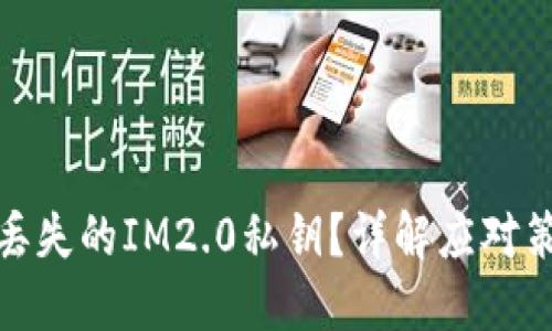 如何找回丢失的IM2.0私钥？详解应对策略与步骤