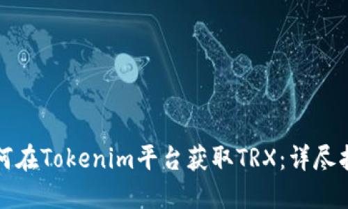 如何在Tokenim平台获取TRX：详尽指南